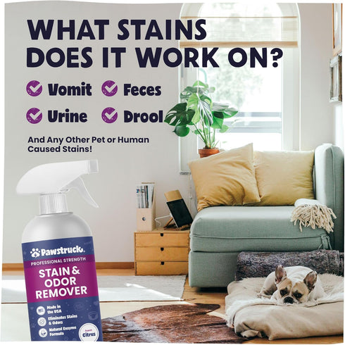 Pawstruck Professional Strength Pet Stain & Odor Remover - Natural Enzyme Cleaning Agent for Dogs & Cats 32 oz