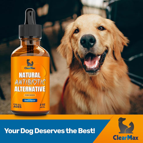 Antibiotic for Dogs, Natural Dog Antibiotics with Beef Flavor, Pet Antibiotic - 2 Oz