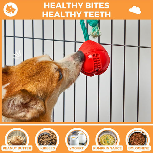 Fossa 4-in-1 Crate Entertaining Puzzle Chew Toy for Dogs, Upgrade Crate Training Aids, Food Treat Dispensing Toy