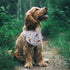 9 Pack Dog Bandanas, Washable Polyester Dog Bandana Bulk for Boy Girl, Stripe Pattern Pet Scarves
