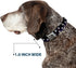 Buckle-Down Dog Collar Seatbelt Buckle Glowing Stars in Space, 15 to 26 Inches, 1.0 Inch Wide