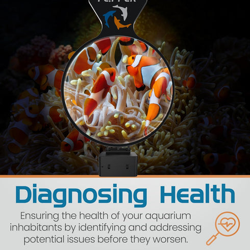 FL!PPER Flipper DeepSee MAGNIFIED Viewer for Fish Tank Aquarium with Rechargeable LED Spotlights