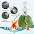 Jetec 8 Pieces Fish Seaweed Clip, Plant Suction Cup with Clip Feed Holder for Aquarium Fish Tank Accessories