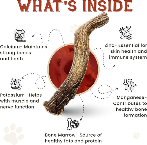 Heartland Deer Antlers for Dogs, Grade A Naturally Shed Antlers, Chew Toy for Aggressive Chewers & Teething Puppies