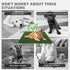 Tray,32"*38" KOOLTAIL Dog Grass Pad with Washable Pee Pads for Puppy Potty Soft Artificial Turf Multipurpose Reusable