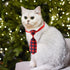 Segarty Small Dog Ties, 40 PCS Assorted Pattern Adjustable Pet Bow Ties for Small Dogs and Cats, Holiday Gift