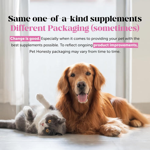 Immune Immunity, 30-Day Cat Probiotics Gut + Health Chews Crunchy & Creamy Cat Treats for Digestive Health, Gut Flora