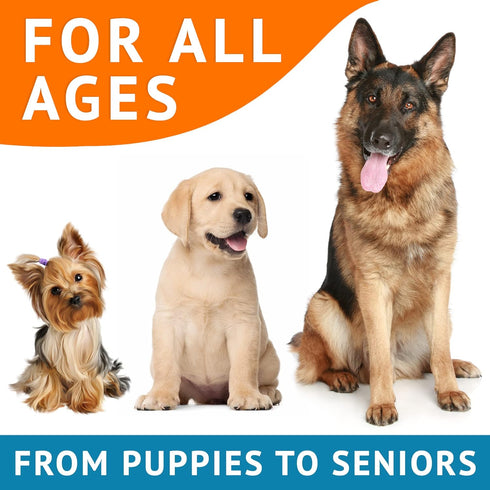 Omega 3 Fish Oil for Dogs, 360 Ct, Skin & Coat Chews, Allergy Support, Salmon Oil for Joint Health