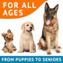Omega 3 Fish Oil for Dogs, 360 Ct, Skin & Coat Chews, Allergy Support, Salmon Oil for Joint Health