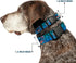 Buckle-Down Plastic Clip Collar, Stitch Expressions, Hibiscus Collage Green-Blue Fade, 1" Wide, Medium