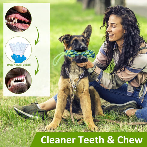 Tree Tugger Dog Toy - Retractable Bungee Tug Toy, Interactive Tug of War with 32.8 ft Rope