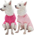 Blueberry Pet Back to School 2-Pack Dog Polo Shirts, Cotton Outfit for Small Pets, Amaranth Red + Pink