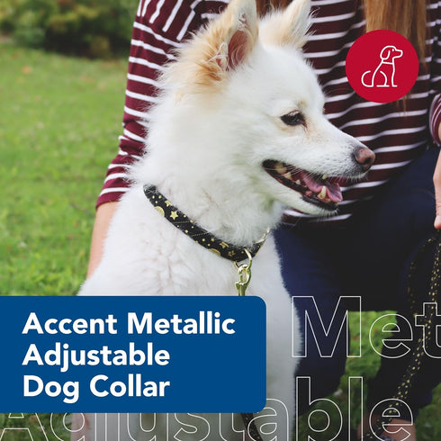 Coastal Pet Accent Metallic Adjustable Dog Collar, Comfortable with Sturdy Metal Buckle, Bright Black Galaxy, 5/8" x