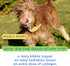 Native Pet Bone Broth for Dogs & Cats, Dog Bone Broth Powder, Food Topper for Picky Eaters, 4.75 oz