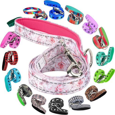 EcoBark Dog Leash, 4 FT / 5 FT / 6 FT Reflective with Padded Handle, Strong Heavy Duty Nylon for Small Medium Dogs