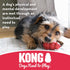 KONG Puppy Binkie, Pacifier Dog Toy for Medium Puppies, Durable Natural Rubber Chew Toy for Teething Playtime