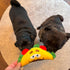 SPOT 6in Fun Food Taco Plush Dog Toy with Squeaker - Interactive Soft, Squeaky Toy for Dogs and Puppies, Keeps Pets