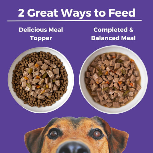 12.7oz 12) KOHA Memphis BBQ Stew for Dogs with Chicken and Pork, High Protein Wet Dog Food, Cans (Case