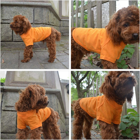Lovelonglong Dog Costumes Basic Blank T-Shirt Tee Shirts for Large Dogs, Orange XXXXL