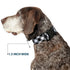 Buckle-Down Diagonal Buffalo Plaid Black/White Plastic Clip Collar, Large/15-26" PC-W30433-L