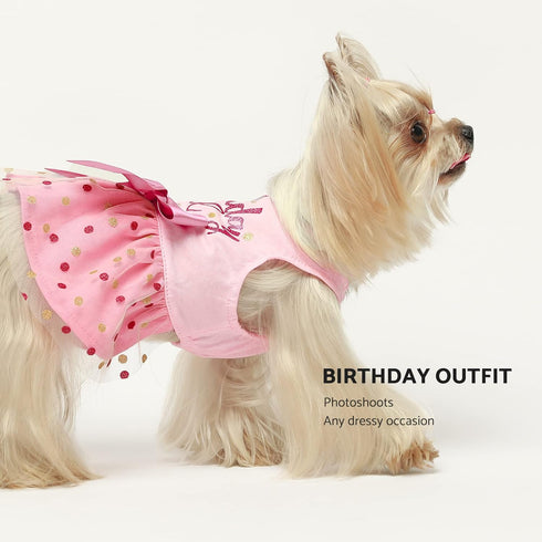 Fitwarm Pink Birthday Girl Dog Tulle Dress, Dog Clothes for Small Dogs Girl, Cat Apparel, XX-Small