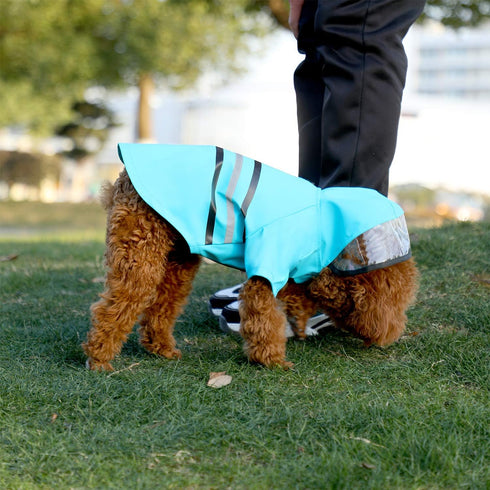 Wizland Reflective Dog Raincoat, Lightweight Waterproof Rain Jacket with Hood for Puppies, Blue L