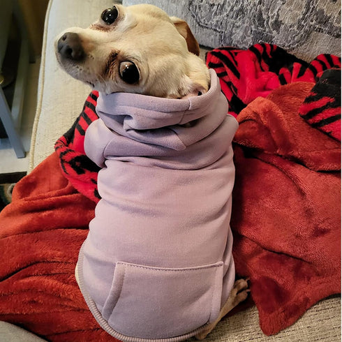 Jecikelon Winter Dog Hoodie Sweatshirts for Small Dogs Chihuahua Coat with Pockets, Warm Puppy Cat Costume (Purple,