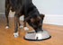 ICONIC PET 2 Pack Heavy Weight Non-Skid Easy Feed High Back Pet Bowl - 8 oz for Dog or Cat