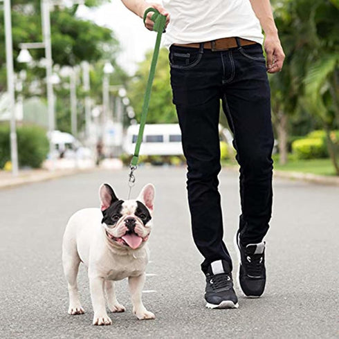 Downtown Pet Supply Long Dog Leash - 30 ft Nylon Dog Training Leash for Recall & Obedience