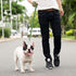 Downtown Pet Supply Long Dog Leash - 30 ft Nylon Dog Training Leash for Recall & Obedience