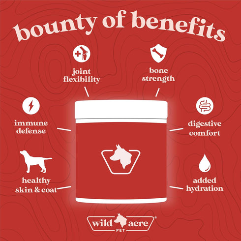 Wild Acre Premium Beef Bone Broth for Dogs – High Protein + Collagen with Mushroom Blend for Strong Bones and Immune