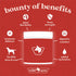 Wild Acre Premium Beef Bone Broth for Dogs – High Protein + Collagen with Mushroom Blend for Strong Bones and Immune