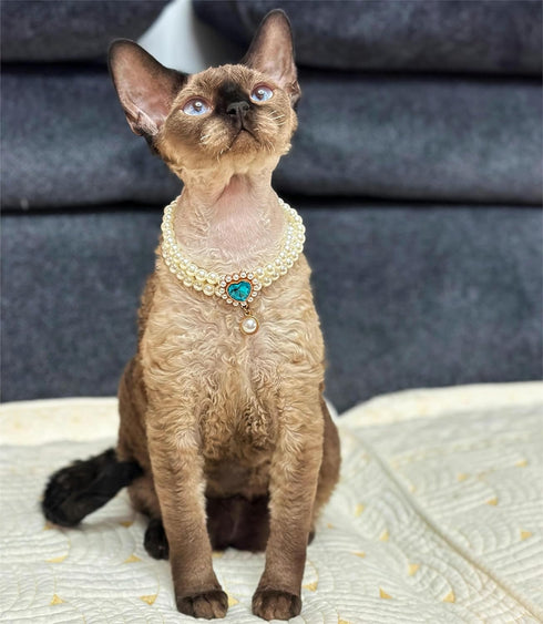 Handmade Pearl Dog Necklace, Cute Cat Collar, Fancy Adjustable Puppy Collar with Blue Heart Jewelry for Birthday Party