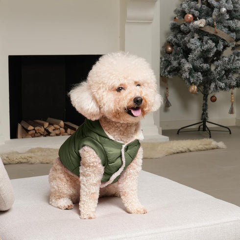 Fleece Lining Extra Warm Dog Hoodie for Medium Dogs, Winter Jacket Pet Coat with Hooded Green L