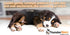 ThunderShirt for Dogs, Medium, Camo Polo - Dog Anxiety Vest for Calming