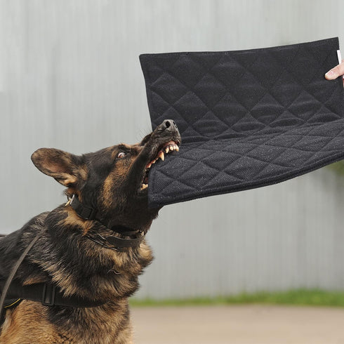 MABOZOO Indestructible Dog Beds, Chew Proof Quilted Dog Crate Pad for Small Dogs, Machine Washable, Black (17x23 in)
