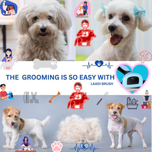 Deshedding Tool for Dogs and Cats, Reduces Shedding by Up to 95% in Less Than 10 Minutes, Grooming Brush