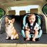 Kaiphy 4 Waterproof Dog Car Seat Cover for Back Seat, Non-Slip & Universal Fit for SUV, Car, Truck with Safety Belt