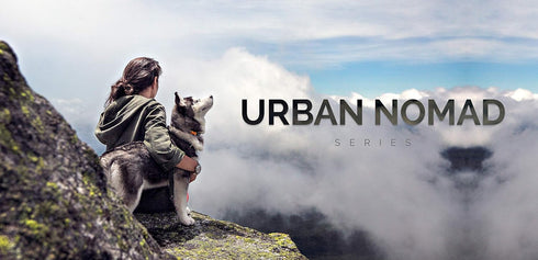 Urban Nomad Dog Collar - Waterproof, Odor Proof, Durable, Anti-Mat & Lightweight - Premium Coated Nylon - Teal, Medium