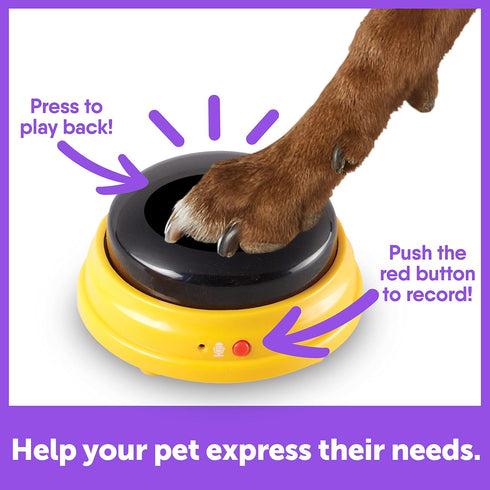 Hunger For Words Talking Pet Next Words Names - 3 Piece Set of Recordable Speech Buttons for Dog Training