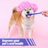 100 Set Set Pieces Dog Toothbrush Kit Double-Headed Toothbrush Long Handle Tooth Brush Soft Bristle Pet Tooth Brush