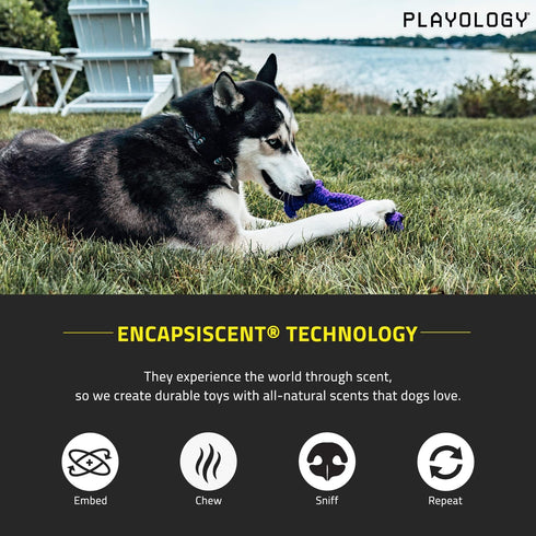 Playology Silver Dri-Tech Dental Rope Dog Toy for Medium Senior Dogs (15-35lbs), All-Natural Peanut Butter Scented Chew