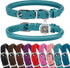 BRONZEDOG Rolled Leather Dog Collar for Small Medium Large Dogs with QR ID Tag (M: 14-16 Inch, Teal)
