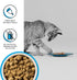 BIXBI Rawbble Freeze Dried Cat Food, Chicken & Salmon Recipe, 3.5 oz - 95% Meat and Organs, USA Made