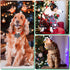 60 Pcs Plaid Dog Collar Flowers Bulk Pet Flower Collar Bow Ties Holiday Dog Accessories Charms Slide Attachment for Small Medium Large Dog Cat Puppy Bow Grooming