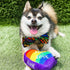 Huxley & Kent Bow Tie for Pets, Unity (Extra-Large), Pride Velcro Bow Tie Collar Attachment for Dogs & Cats