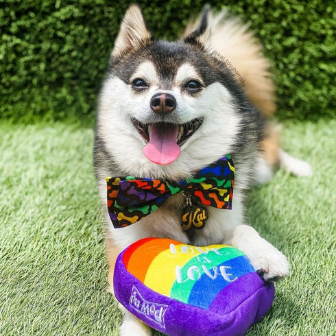 Huxley & Kent Unity Bow Tie for Pets, Large Pride Bow Tie Collar Attachment for Dogs & Cats