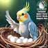 7 Dummy DummyEggs Cockatiel Bird Eggs Stop Brooding Laying! Tricks Your Bird Everytime! Solid Plastic Fake Eggs Quaker