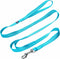 Blueberry Pet Essentials Double Handle Dog Leash for Traffic Control, 4ft. x 1" Large Dog Leash, Classic Nylon Leash