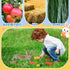 Locmeo 20 Set Pcs Rabbit Starter Kit Small Bunny Litter Box Animal Grooming Kit with Hanging Pet Bowls Water Bottle